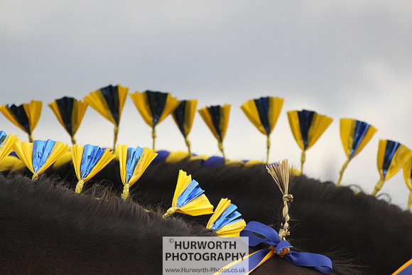North Yorkshire County Show 144