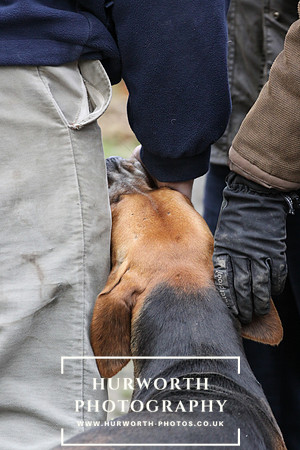 Hurworth Hunt 049