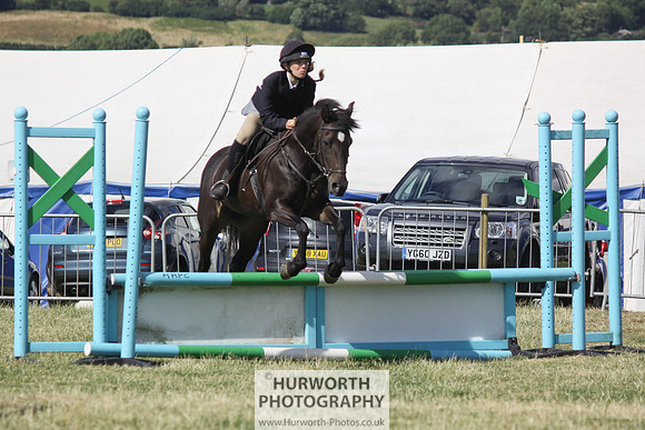 2013 Osmotherley Show 293