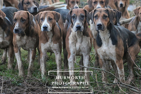 Hurworth Hunt 274