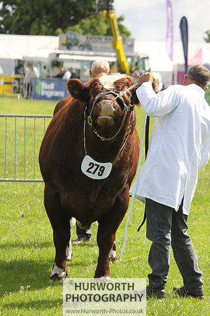 North Yorkshire County Show 054