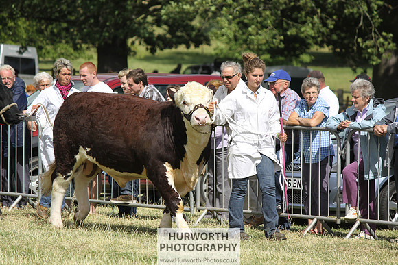 2013 Osmotherley Show 192