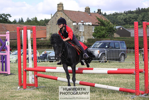 2013 Osmotherley Show 281