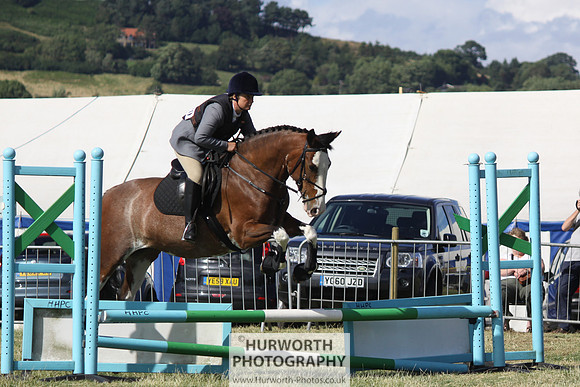 2013 Osmotherley Show 320