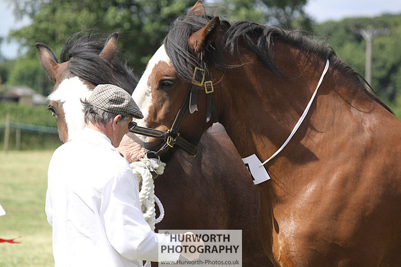 2013 Osmotherley Show 149