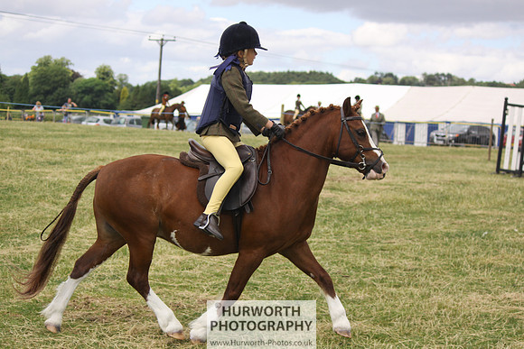 2013 Osmotherley Show 049