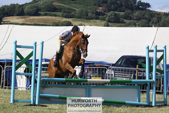 2013 Osmotherley Show 380