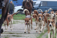 Hurowth Hunt 33