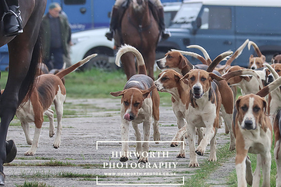 Hurowth Hunt 33