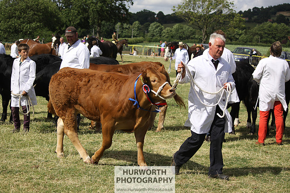 2013 Osmotherley Show 224