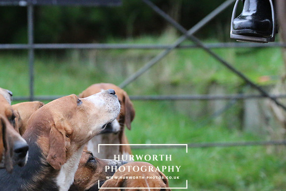 Hurworth Hunt 063