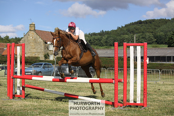 2013 Osmotherley Show 365