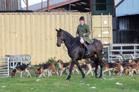 Hurowth Hunt 28
