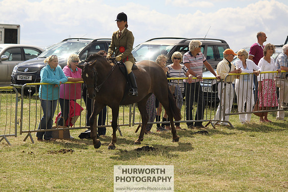 2013 Osmotherley Show 142