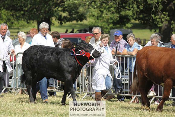 2013 Osmotherley Show 195