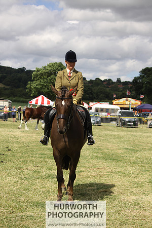 2013 Osmotherley Show 247