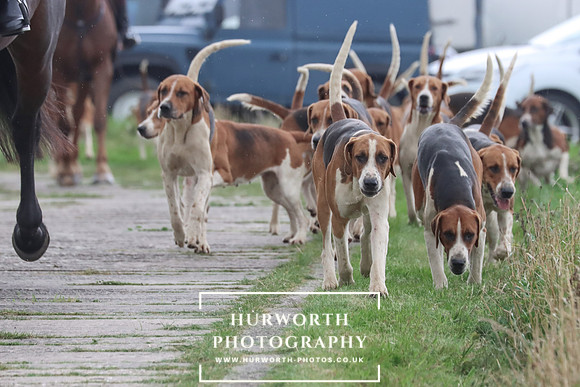 Hurowth Hunt 30