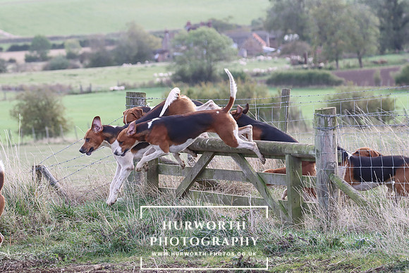 Hurowth Hunt 51