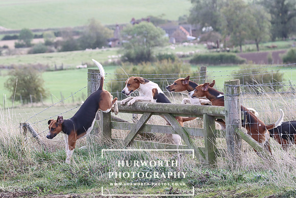 Hurowth Hunt 48
