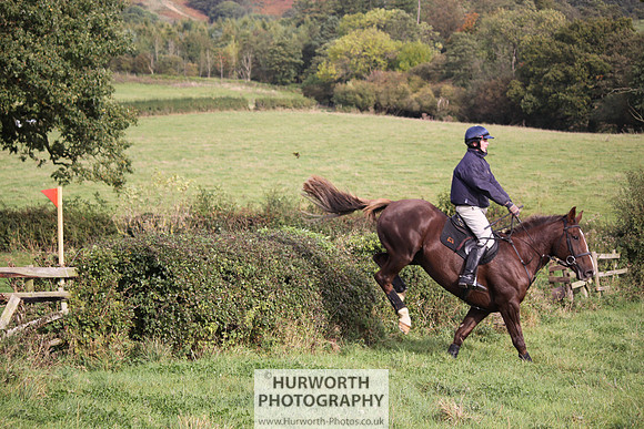 Hurworth Bilsdale Hedge Hop 655