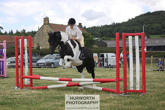 2013 Osmotherley Show 041