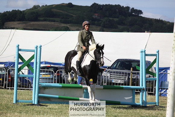 2013 Osmotherley Show 345