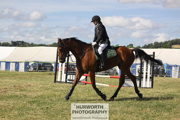 2013 Osmotherley Show 312