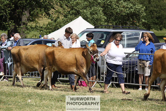 2013 Osmotherley Show 188
