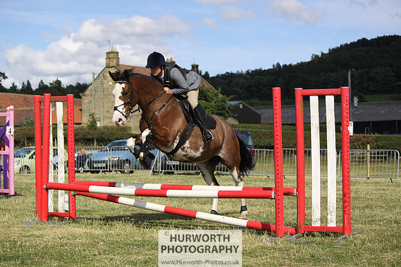 2013 Osmotherley Show 322