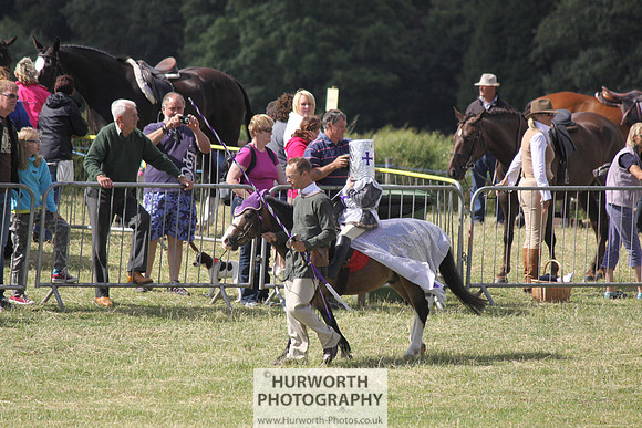 2013 Osmotherley Show 255