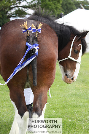 North Yorkshire County Show 098