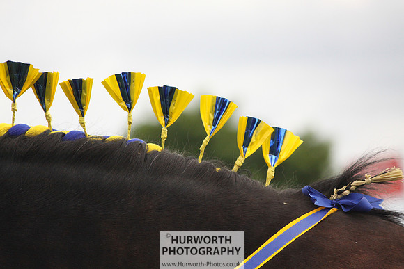 North Yorkshire County Show 145