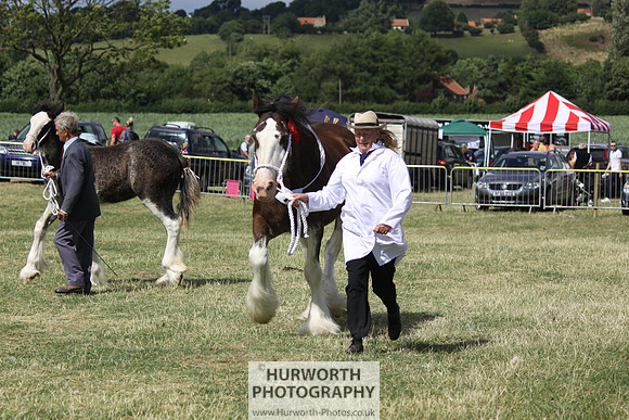 2013 Osmotherley Show 160