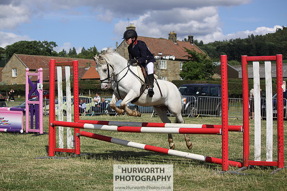 2013 Osmotherley Show 309