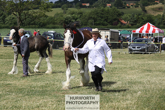 2013 Osmotherley Show 161