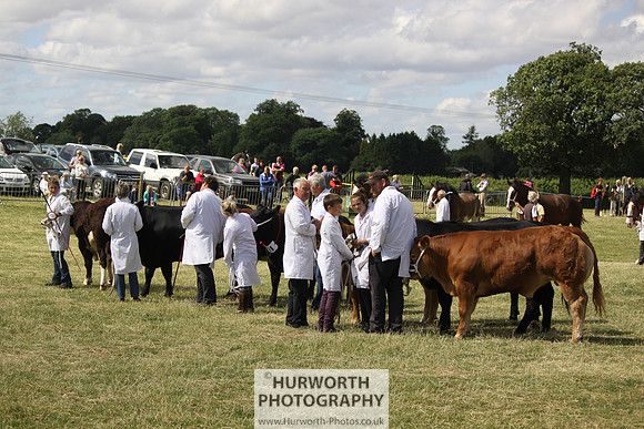 2013 Osmotherley Show 232
