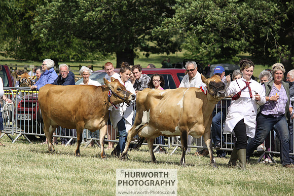 2013 Osmotherley Show 184