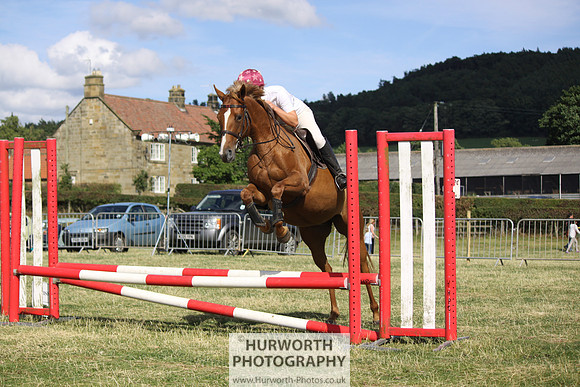 2013 Osmotherley Show 318