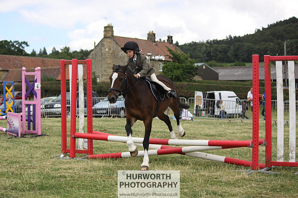 2013 Osmotherley Show 044
