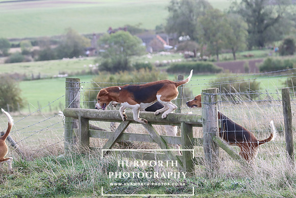 Hurowth Hunt 66