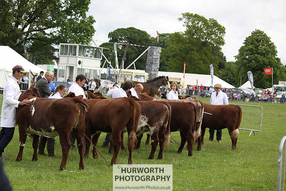 North Yorkshire County Show 100