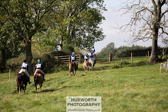 Hurworth Bilsdale Hedge Hop 294