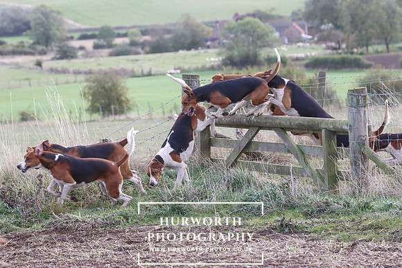 Hurowth Hunt 55