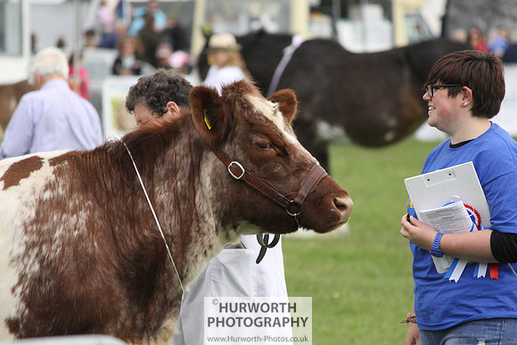 North Yorkshire County Show 137