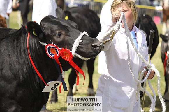 2013 Osmotherley Show 221