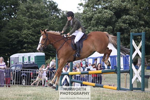 2013 Osmotherley Show 349