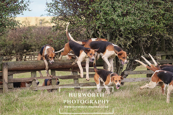 Hurworth Hunt 19