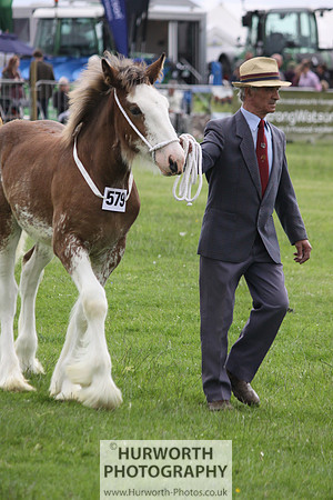 North Yorkshire County Show 116