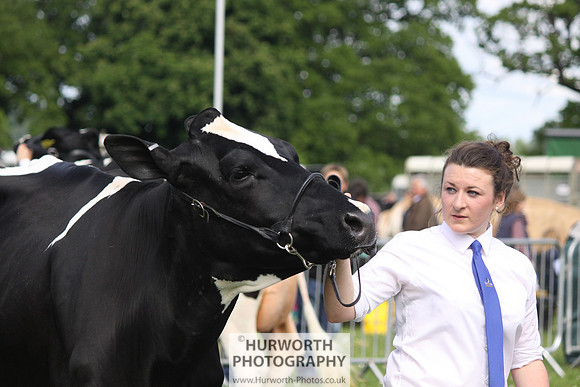 North Yorkshire County Show 037