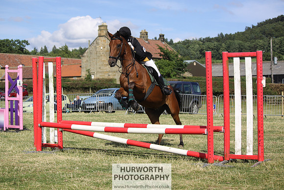 2013 Osmotherley Show 333